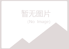 鹤岗兴山莫爱美容有限公司